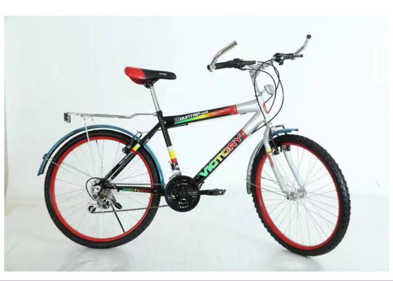 Victory 24-inch mountain bike with gears, model 2401