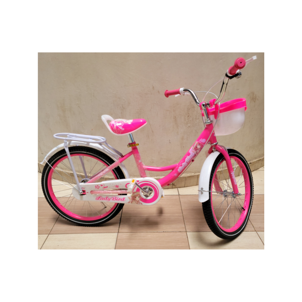 Lady Bird 20-Inch Kids’ Bicycle  for Ages 7–10